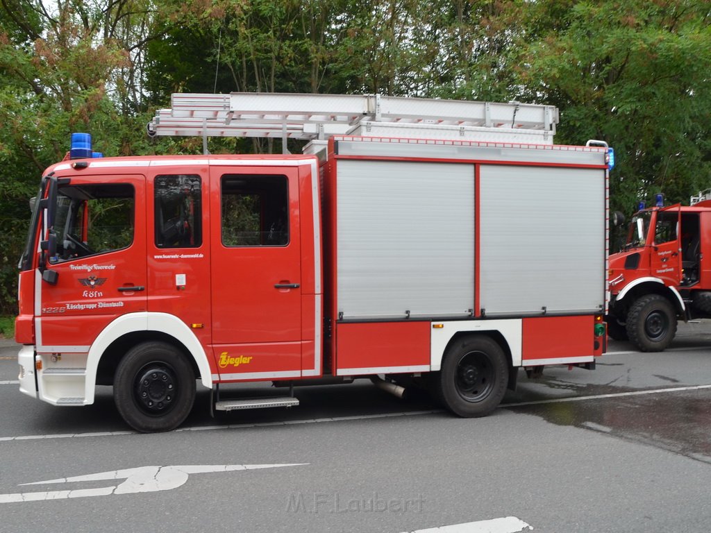 PKlemm Koeln Duennwald Am Weissen Moench Duennwalder Kommunalweg P42.JPG - Miklos Laubert